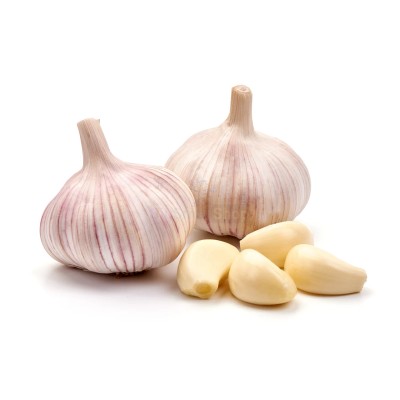 Чеснок крупный 1 кг - купить в Артыке