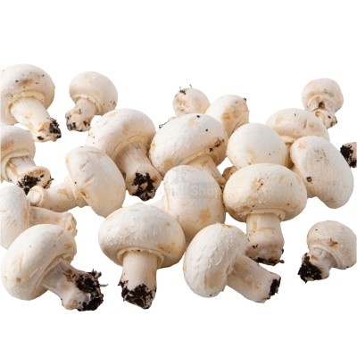 Шампиньоны свежие 500 г - купить в Артыке